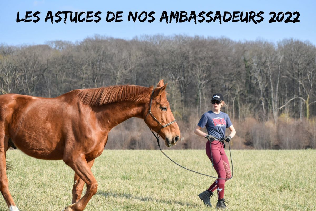 Les astuces des Ambassadeurs Cavalassur 2022